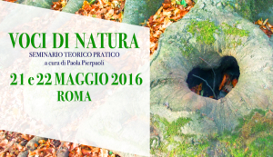 Comunicare con gli alberi e con gli spiriti di natura